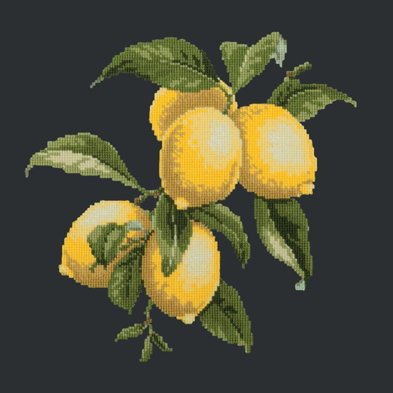 Lemon Cross Stitch Pattern  Lemon Needlepoint Kit with Canvas
