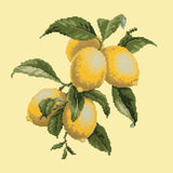 Lemons Needlepoint Kit Elizabeth Bradley Design Butter Yellow 