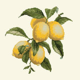 Lemons Needlepoint Kit Elizabeth Bradley Design Winter White 