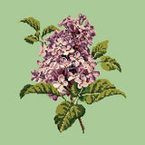Lilac Needlepoint Kit Elizabeth Bradley Design Pale Green 
