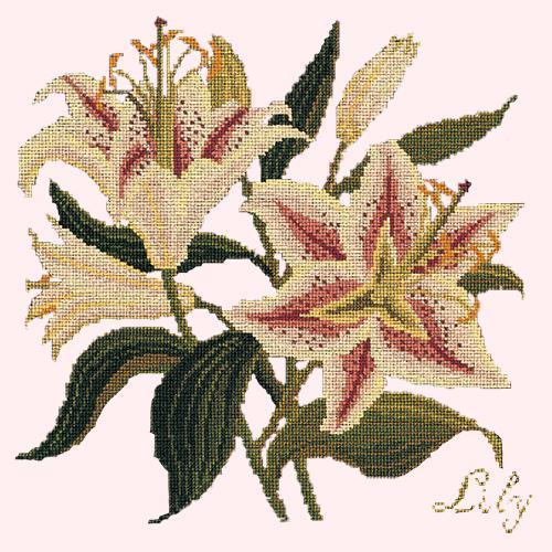 Lily Needlepoint Kit Elizabeth Bradley Design 