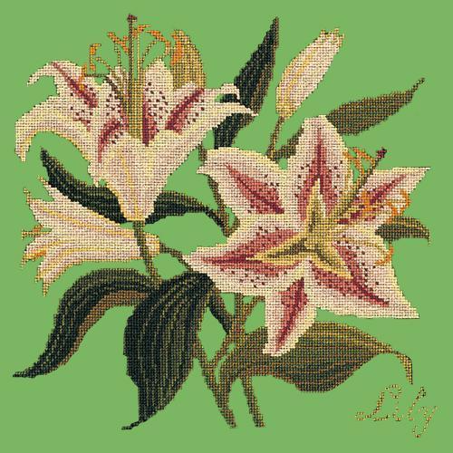 Lily Needlepoint Kit Elizabeth Bradley Design Grass Green 