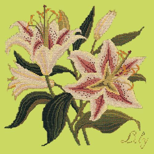 Lily Needlepoint Kit Elizabeth Bradley Design Pale Lime 