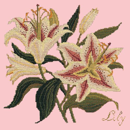 Lily Needlepoint Kit Elizabeth Bradley Design Pale Rose 