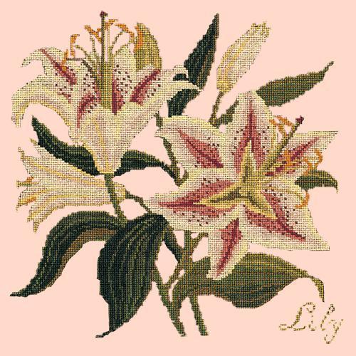 Lily Needlepoint Kit Elizabeth Bradley Design Salmon Pink 