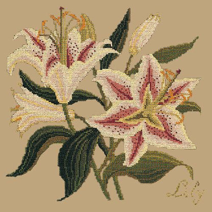 Lily Needlepoint Kit Elizabeth Bradley Design Sand 