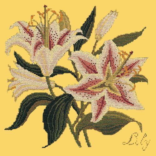 Lily Needlepoint Kit Elizabeth Bradley Design Sunflower Yellow 