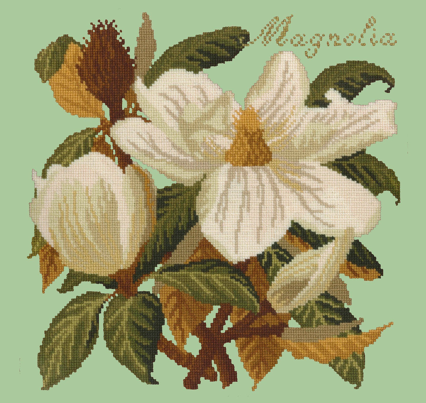 Magnolia Needlepoint Kit Elizabeth Bradley Design Pale Green 