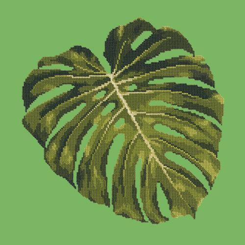 monstera design Monstera Leaf Needlepoint Kit
