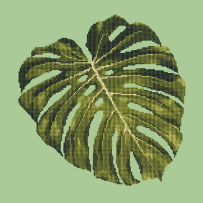 Monstera Leaf Needlepoint Kit Elizabeth Bradley Design Pale Green 