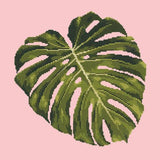 Monstera Leaf Needlepoint Kit Elizabeth Bradley Design Pale Rose 