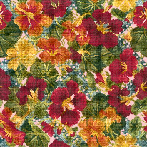 Nasturtium Trellis Needlepoint Kit Elizabeth Bradley Design Pale Rose 