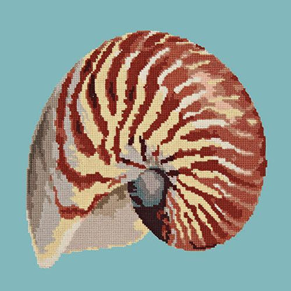 Nautilus Needlepoint Kit Elizabeth Bradley Design 