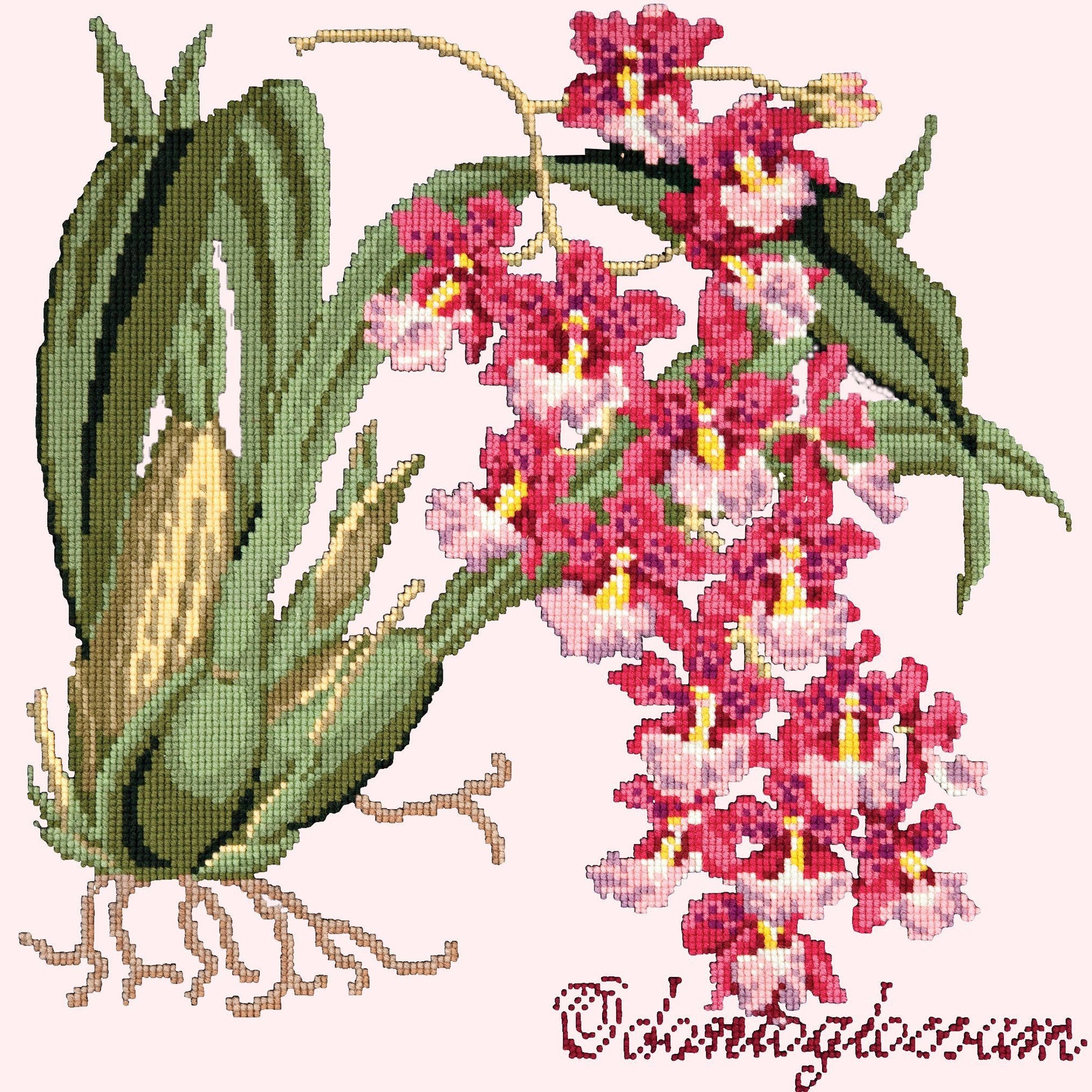 Odontoglossum (Tiger Orchid) Needlepoint Kit Elizabeth Bradley Design 