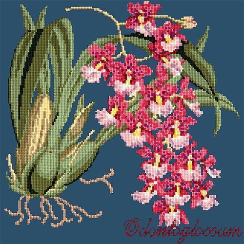 Odontoglossum (Tiger Orchid) Needlepoint Kit Elizabeth Bradley Design Dark Blue 