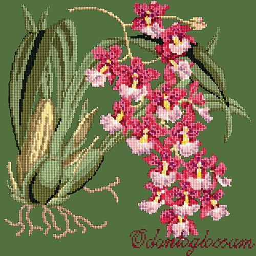 Odontoglossum (Tiger Orchid) Needlepoint Kit Elizabeth Bradley Design Dark Green 