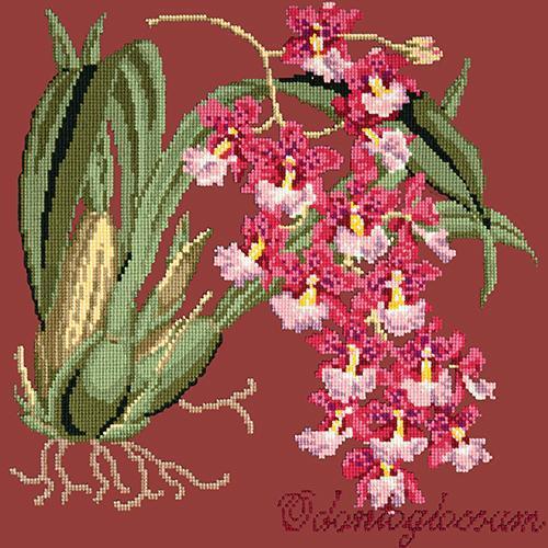 Odontoglossum (Tiger Orchid) Needlepoint Kit Elizabeth Bradley Design Dark Red 