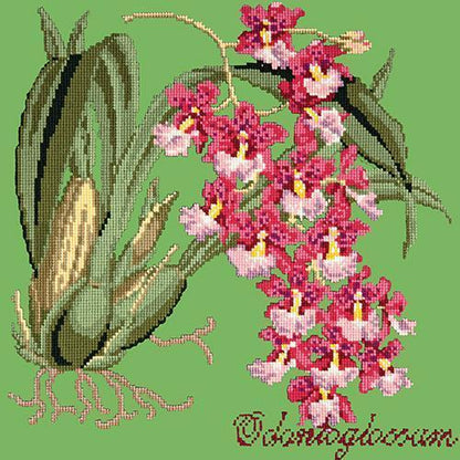 Odontoglossum (Tiger Orchid) Needlepoint Kit Elizabeth Bradley Design Grass Green 