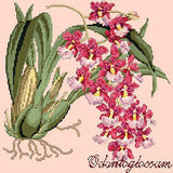 Odontoglossum (Tiger Orchid) Needlepoint Kit Elizabeth Bradley Design Salmon Pink 