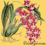 Odontoglossum (Tiger Orchid) Needlepoint Kit Elizabeth Bradley Design Sunflower Yellow 