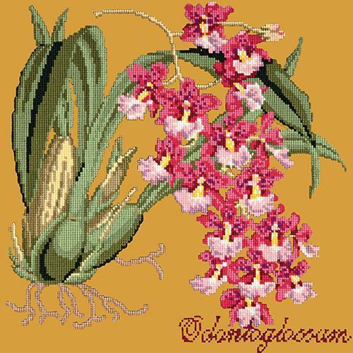 Odontoglossum (Tiger Orchid) Needlepoint Kit Elizabeth Bradley Design Yellow 