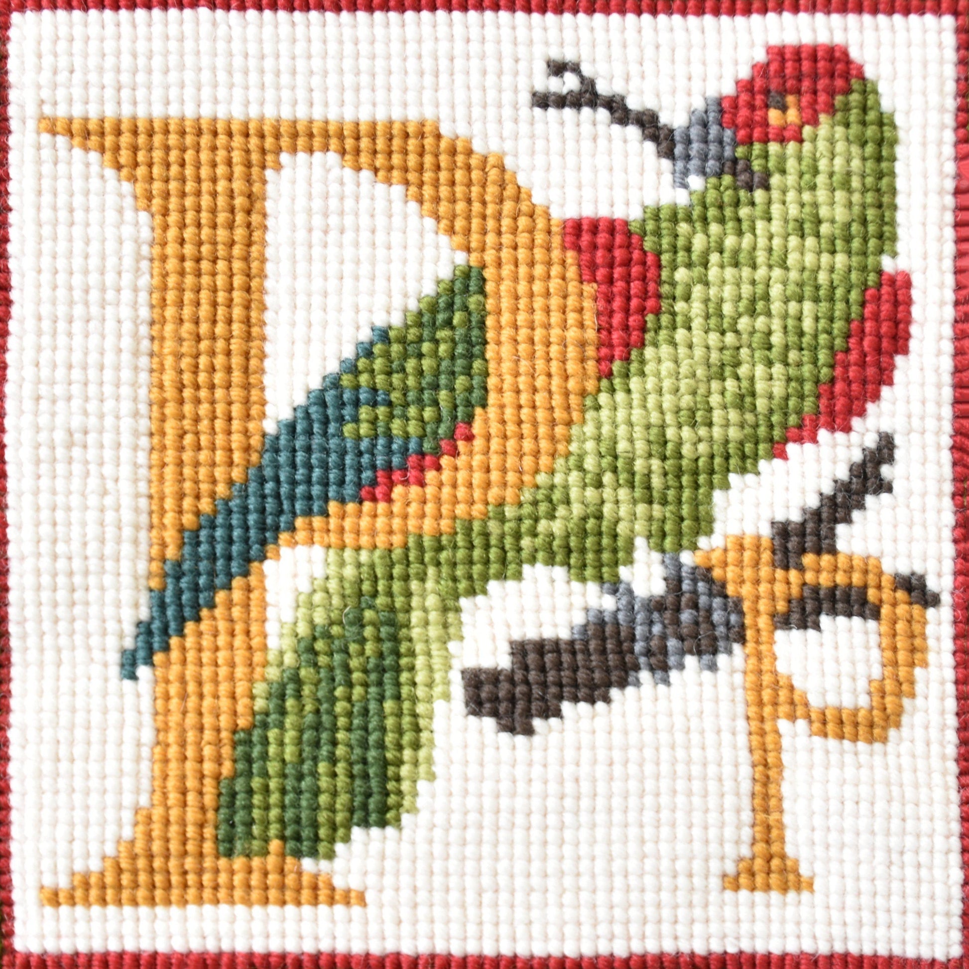 P-Parrot Needlepoint Kit Elizabeth Bradley Design 