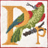 P-Parrot