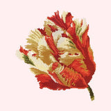 Parrot Tulip Needlepoint Kit Elizabeth Bradley Design 