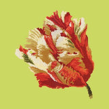 Parrot Tulip Needlepoint Kit Elizabeth Bradley Design Pale Lime 