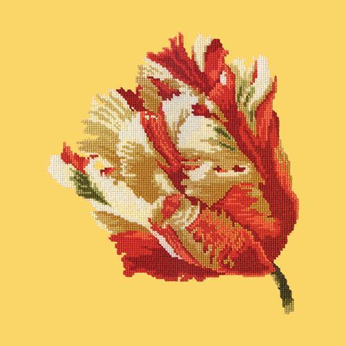 Parrot Tulip Needlepoint Kit Elizabeth Bradley Design Sunflower Yellow 