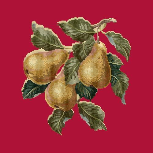Pears Needlepoint Kit Elizabeth Bradley Design Bright Red 
