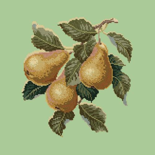 Pears Needlepoint Kit Elizabeth Bradley Design Pale Green 