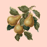 Pears Needlepoint Kit Elizabeth Bradley Design 