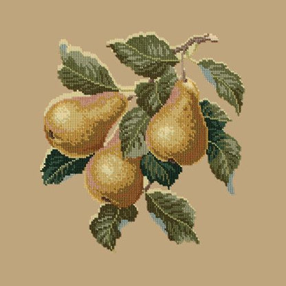 Pears Needlepoint Kit Elizabeth Bradley Design Sand 