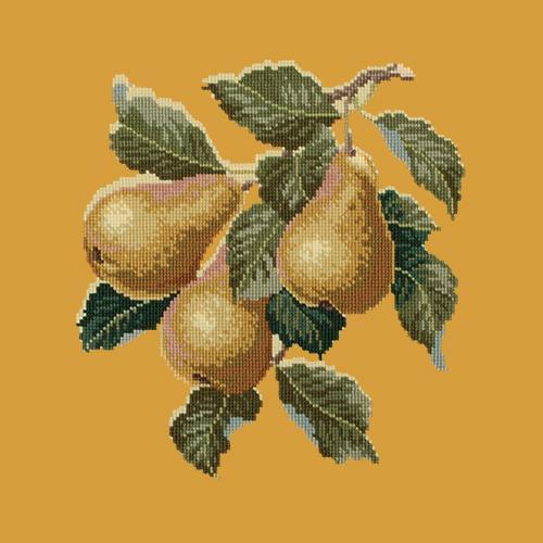 Pears Needlepoint Kit Elizabeth Bradley Design Yellow 
