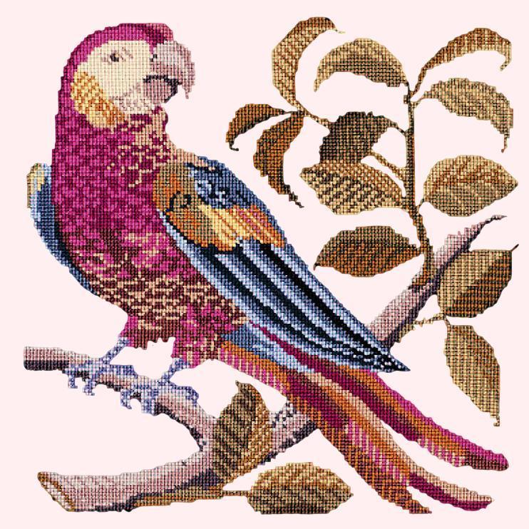 Pete the Parrot Needlepoint Kit Elizabeth Bradley Design Cream 