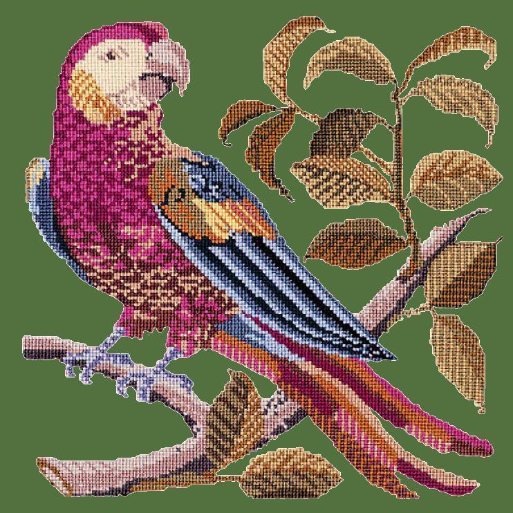 Pete the Parrot Needlepoint Kit Elizabeth Bradley Design Dark Green 