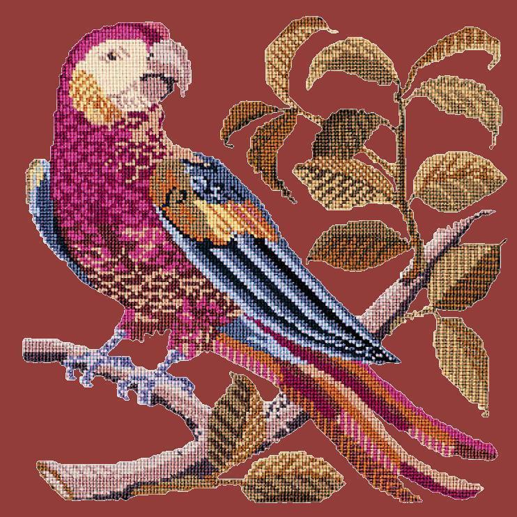 Pete the Parrot Needlepoint Kit Elizabeth Bradley Design Dark Red 