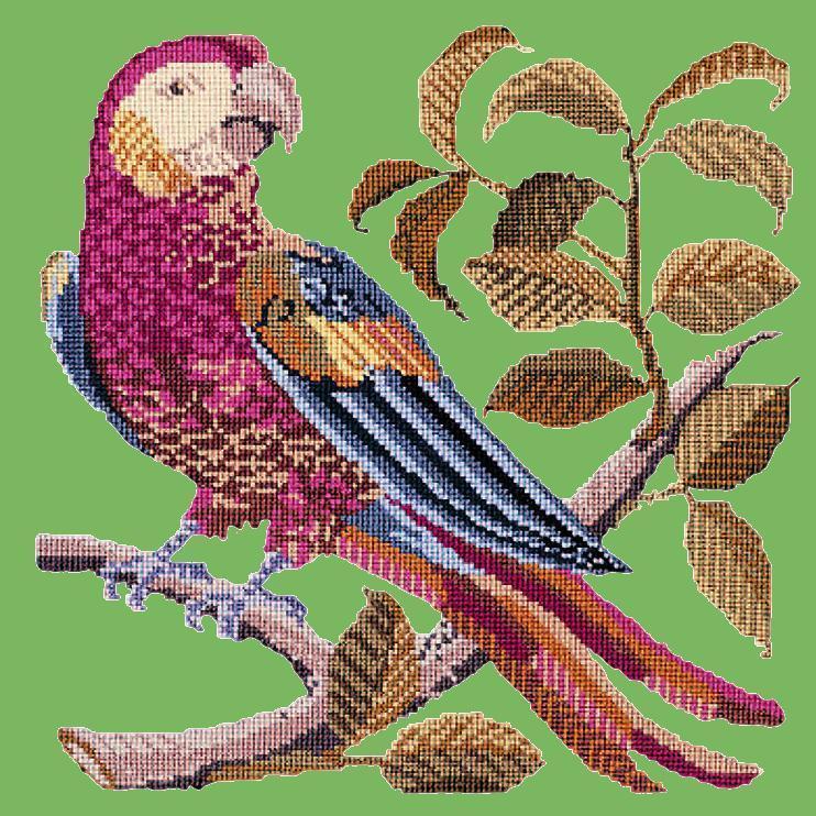 Pete the Parrot Needlepoint Kit Elizabeth Bradley Design Grass Green 