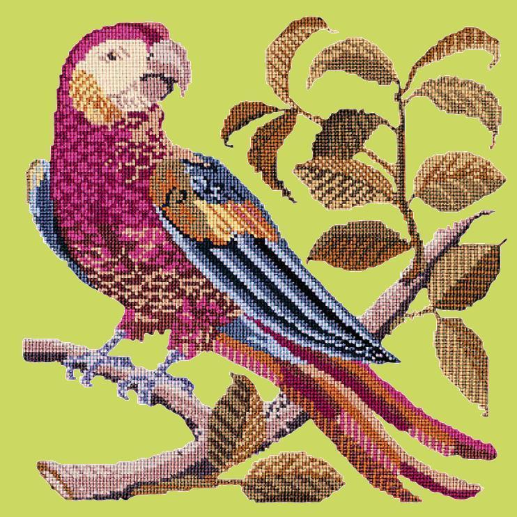 Pete the Parrot Needlepoint Kit Elizabeth Bradley Design Pale Lime 