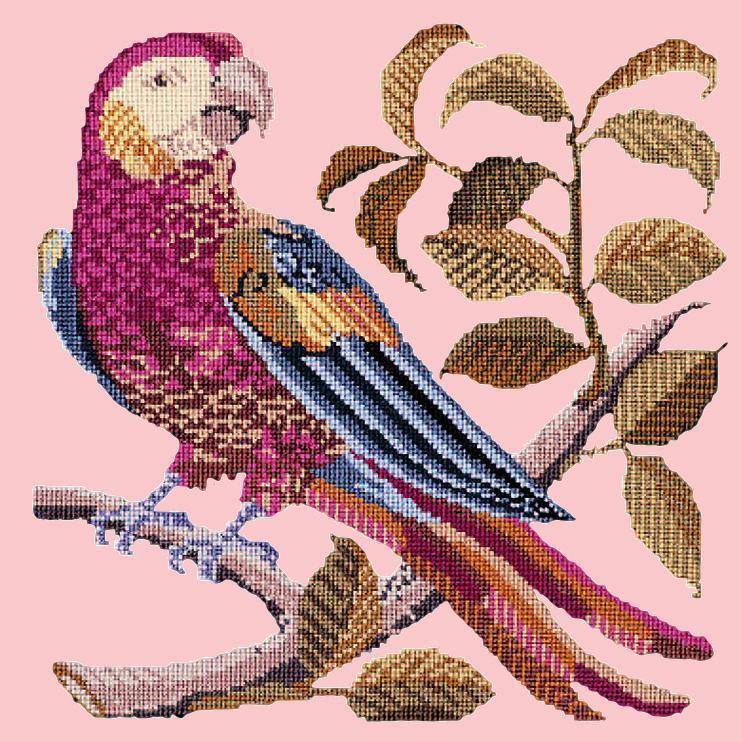 Pete the Parrot Needlepoint Kit Elizabeth Bradley Design Pale Rose 