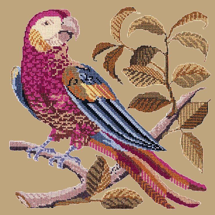 Pete the Parrot Needlepoint Kit Elizabeth Bradley Design Sand 