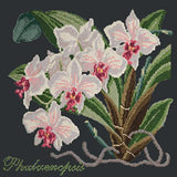 Phalaenopsis (Moth Orchid) Needlepoint Kit Elizabeth Bradley Design 