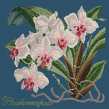 Phalaenopsis (Moth Orchid) Needlepoint Kit Elizabeth Bradley Design Dark Blue 