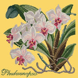 Phalaenopsis (Moth Orchid) Needlepoint Kit Elizabeth Bradley Design Sunflower Yellow 