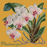 Phalaenopsis (Moth Orchid) Needlepoint Kit Elizabeth Bradley Design Yellow 