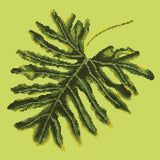 Philodendron Leaf Needlepoint Kit Elizabeth Bradley Design Pale Lime 