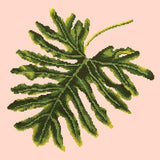 Philodendron Leaf Needlepoint Kit Elizabeth Bradley Design Salmon Pink 