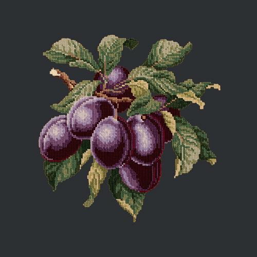 Plums Needlepoint Kit Elizabeth Bradley Design Black 