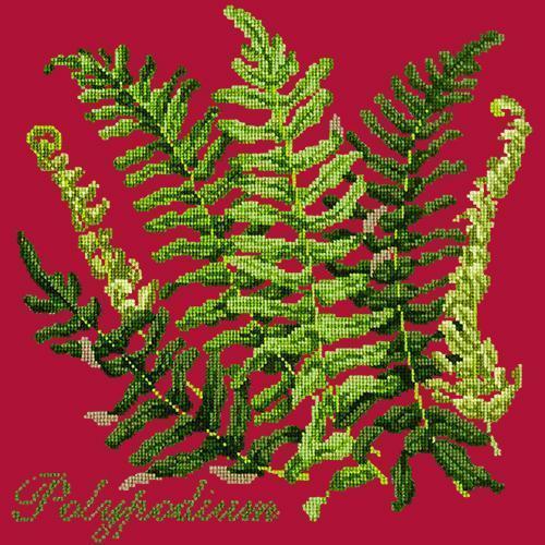 Polypodium Needlepoint Kit Elizabeth Bradley Design Bright Red 